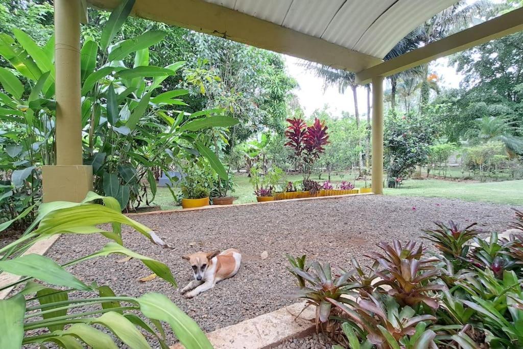Villa Anacahuita, Limonal ハラバコア エクステリア 写真