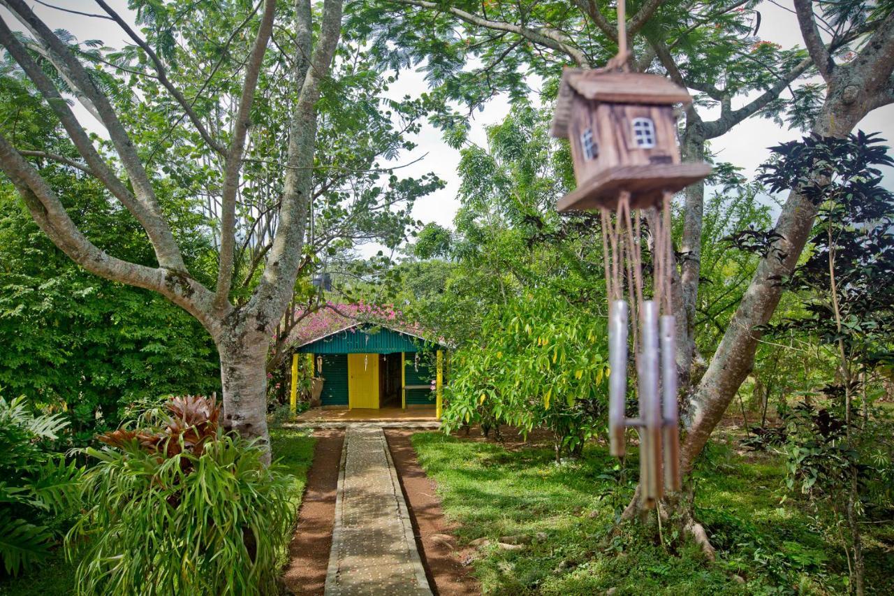 Villa Anacahuita, Limonal ハラバコア エクステリア 写真